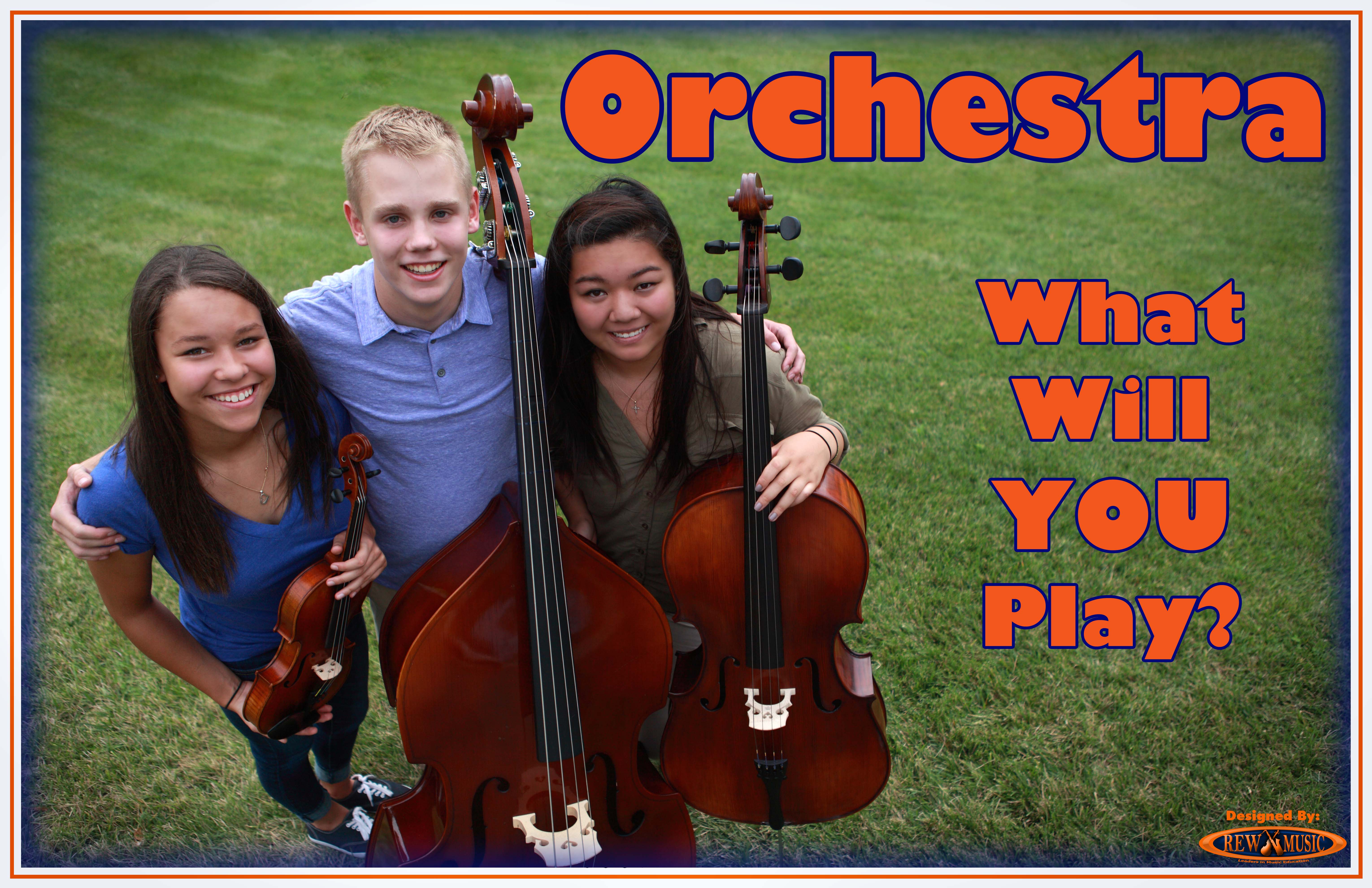 Join the School Orchestra Strings What Will You Play Group Grass
